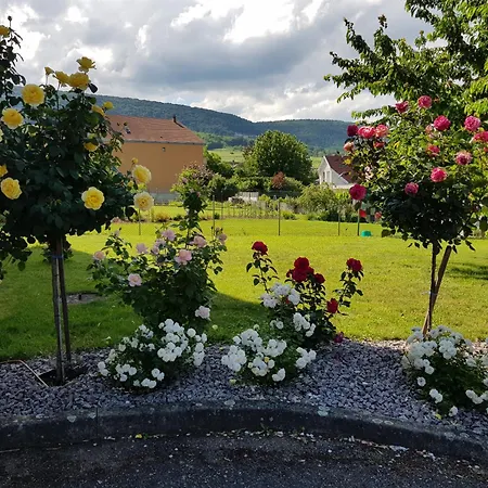 Grande Terrasse, Route Des Vins, Domaine Viticole 'riesling'