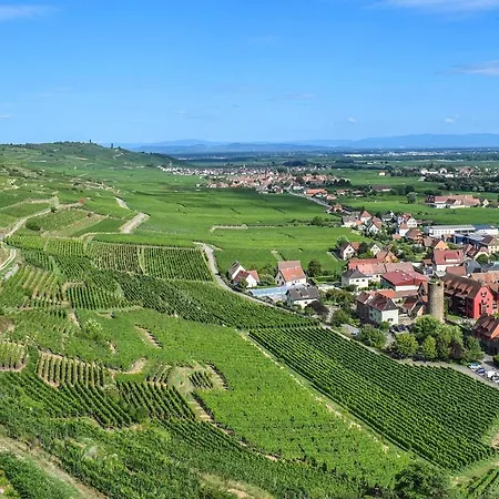 Grande Terrasse, Route Des Vins, Domaine Viticole 'riesling'